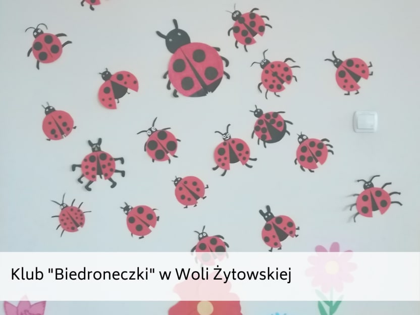 biedroneczki