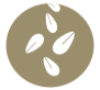 https://res.cloudinary.com/alemelgarejo/image/upload/c_scale,h_82,w_91/v1621274402/allergens/sesamo.png