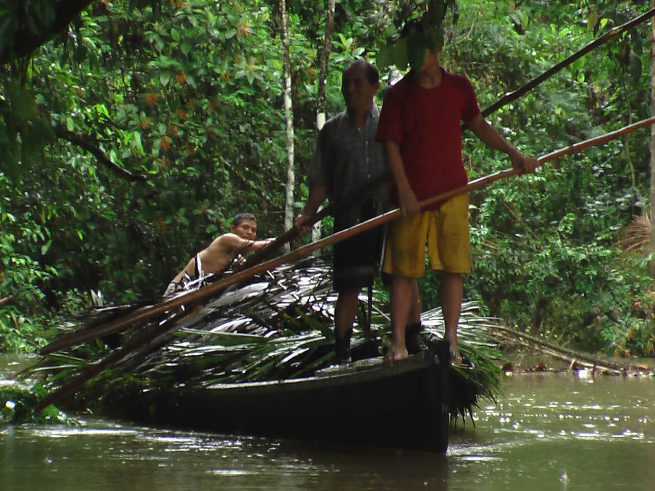004-amazonas-patrimonio