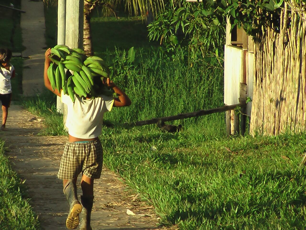010-amazonas-patrimonio