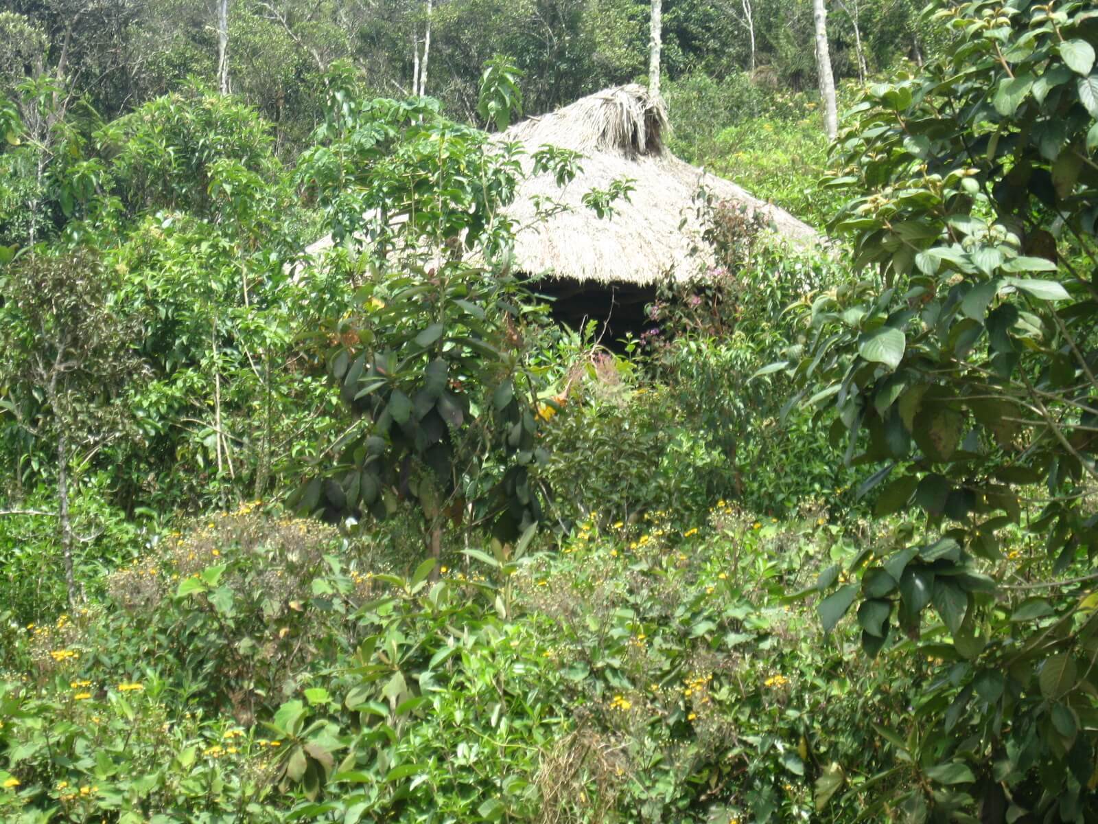 011-amazonas-patrimonio