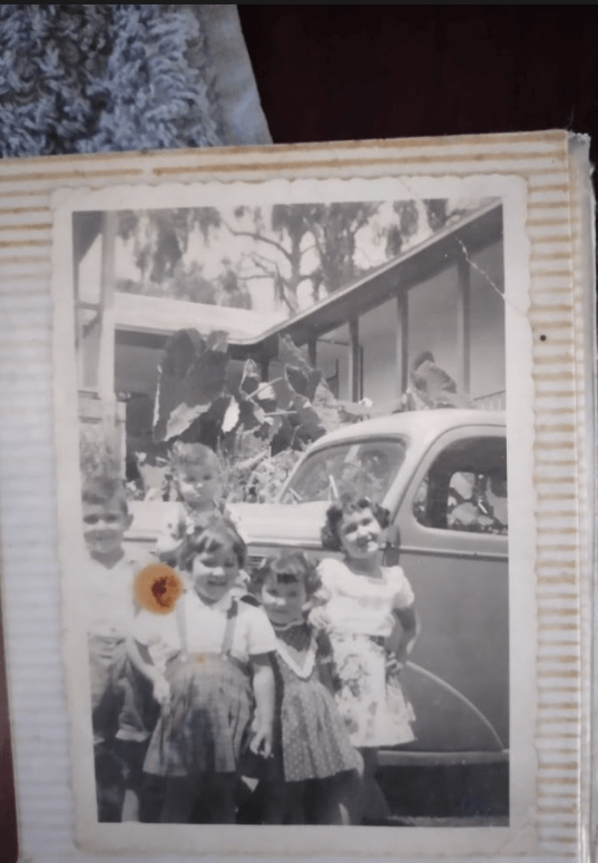 001-andina-cuerpo-archivo