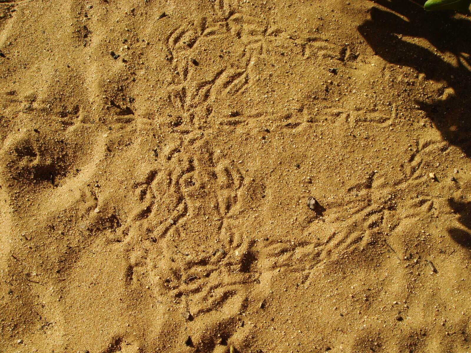 016-caribe-patrimonio