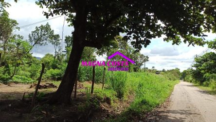 Terreno Padrão Weda com 0 m2 referência: MCI 0462