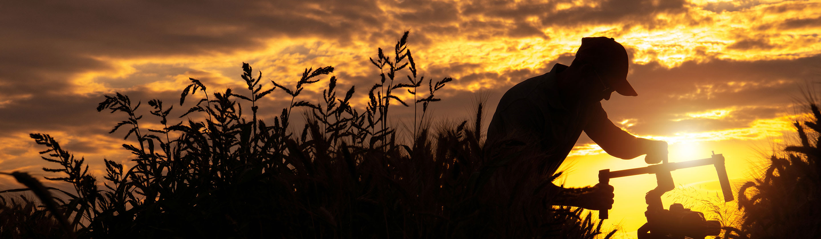 Farmers face a fourth agricultural revolution