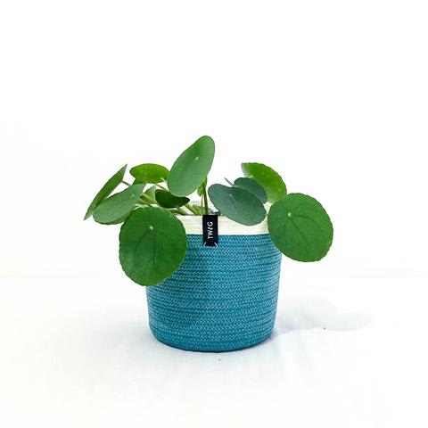 Macaw Modern Handmade Indoor Plant Pot Twig Plants