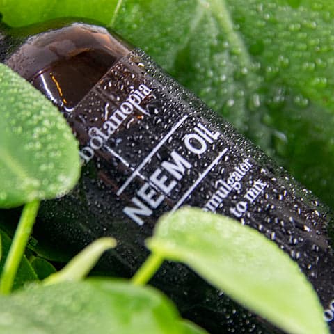 Neem Oil