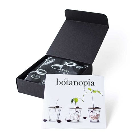 Porcelain Germination / Propagation Plates