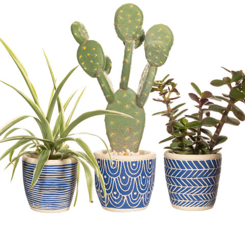 Mini Cement Pots - set of 3