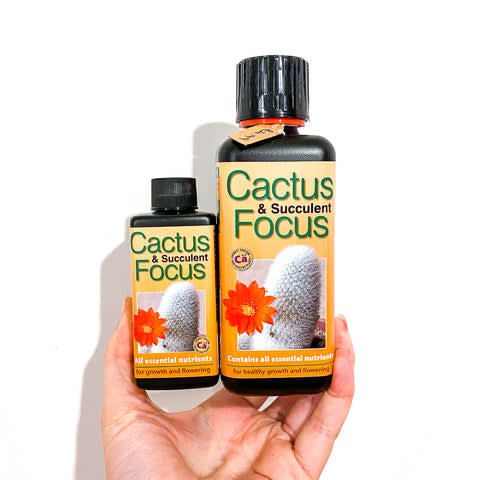 Cacti and Succulent Focus Liquid Fertiliser