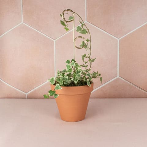 Botanopia Plant Stakes - Mini