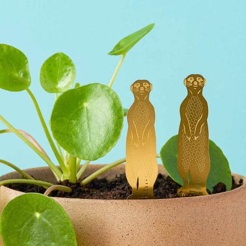 Brass Plant Animals