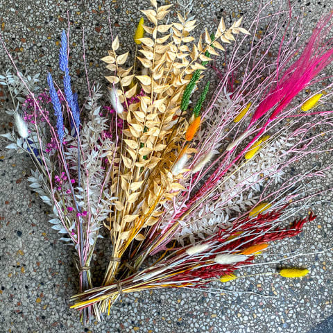 Twig Dried Flowers