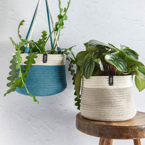 Hanging pot