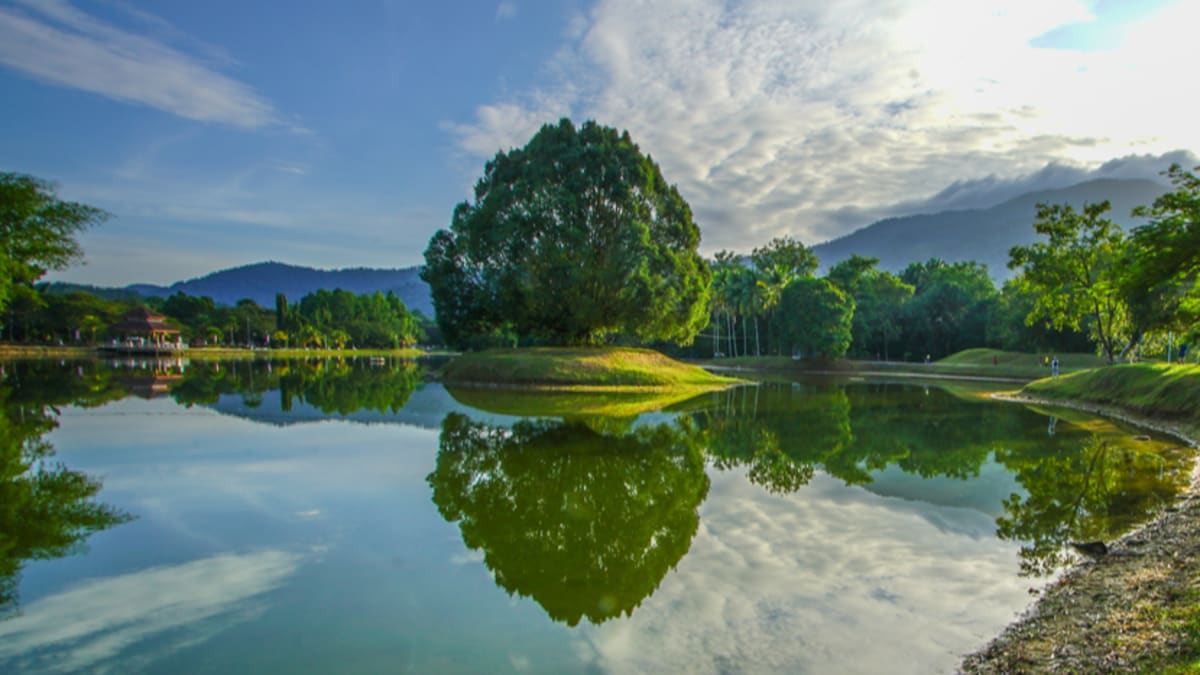 Fun and Historical Taiping With Tripfez