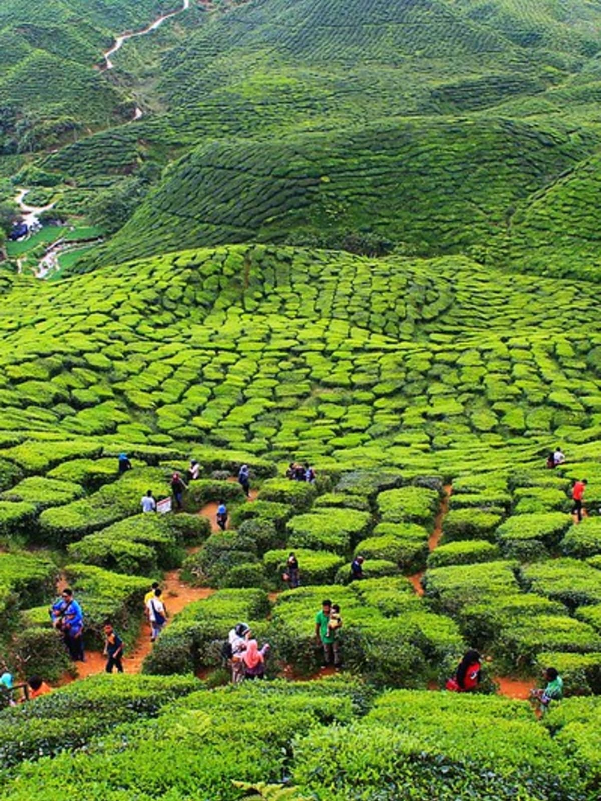 Waktu solat cameron highland 2021