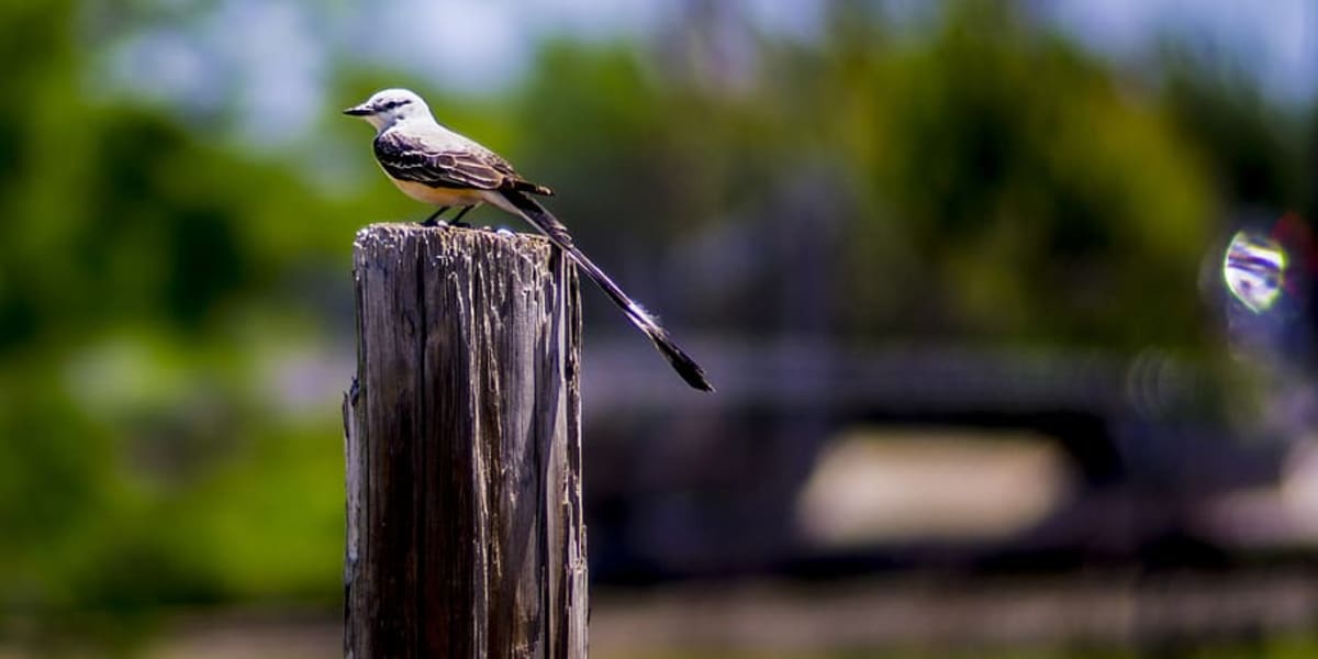 North Richland Hills, TX The Hidden Gem of Dallas Fort Worth Metroplex