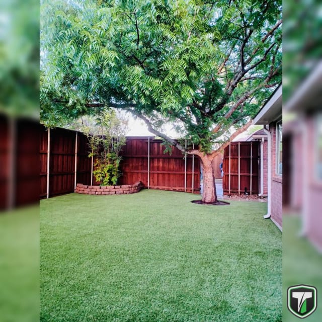 InShot_20220523_172041925