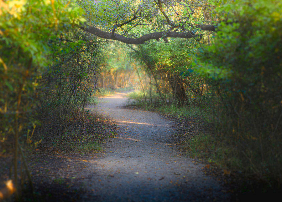 Fort Worth Nature Preserve near Lake Worth