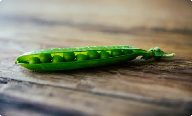 Like peas in a pod, there is a moving and storage container option for everybody