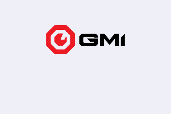 GMI ERP
