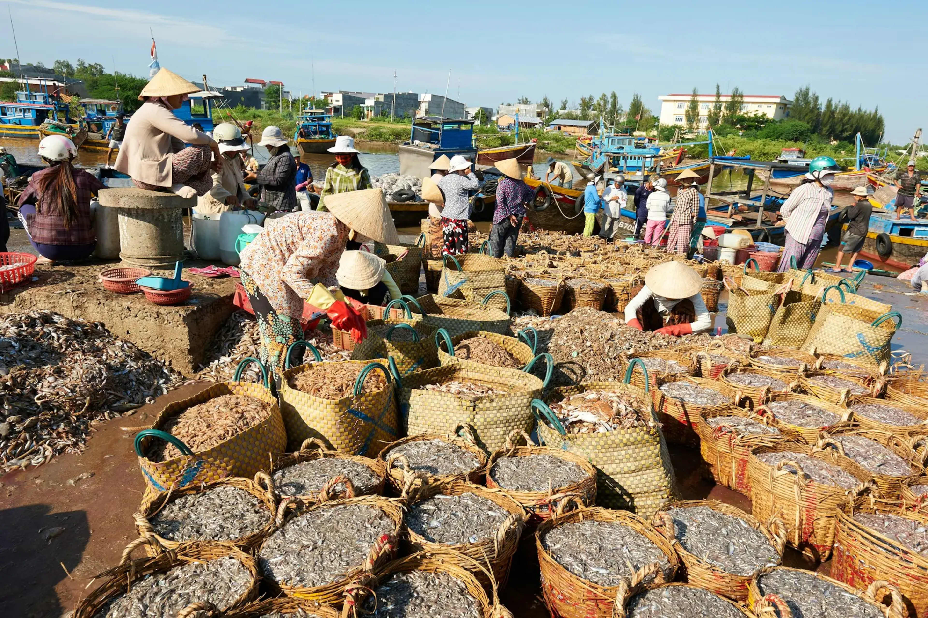 Blog Image Thumbnail