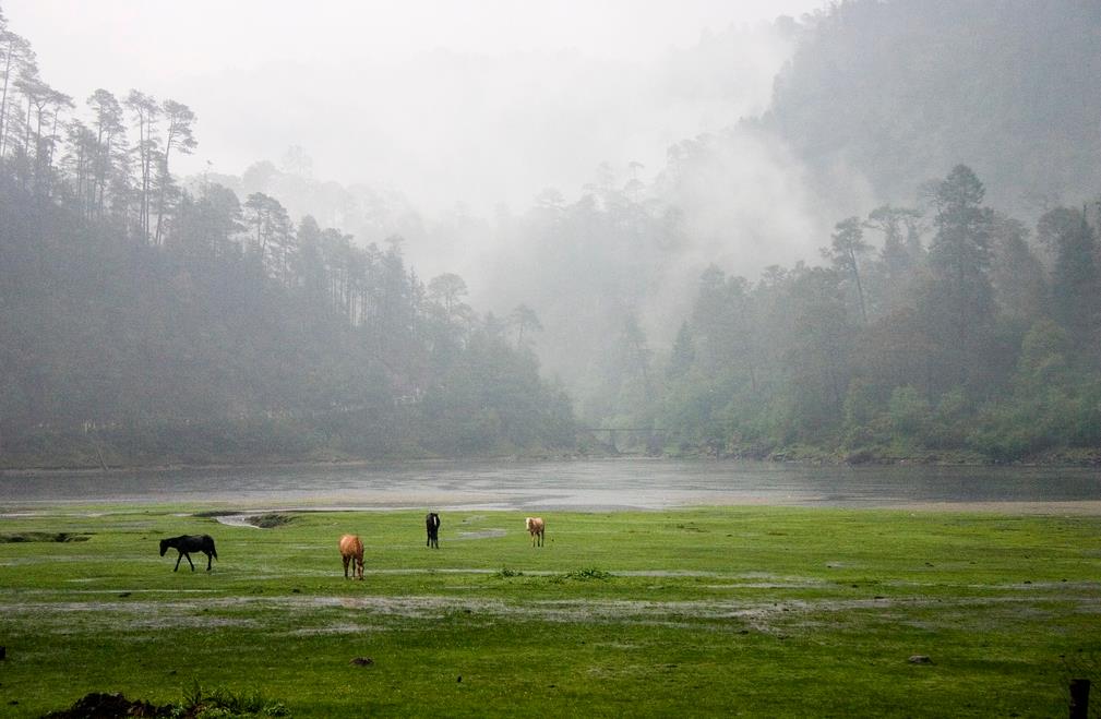 Parque Nacional Lagunas de Zempoala