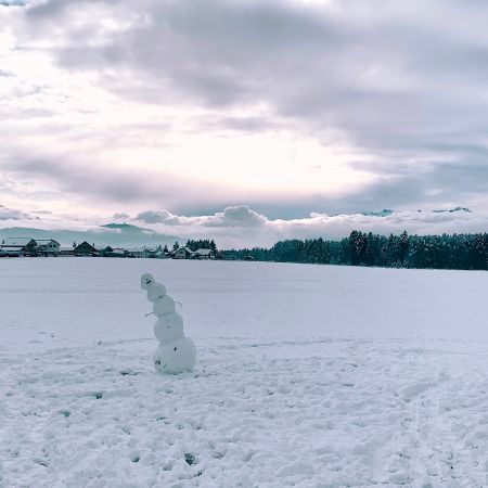 A snowman done with 5 big sniw balls and a goofy smile