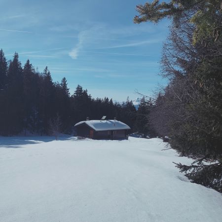 A chalet in a snowy glade