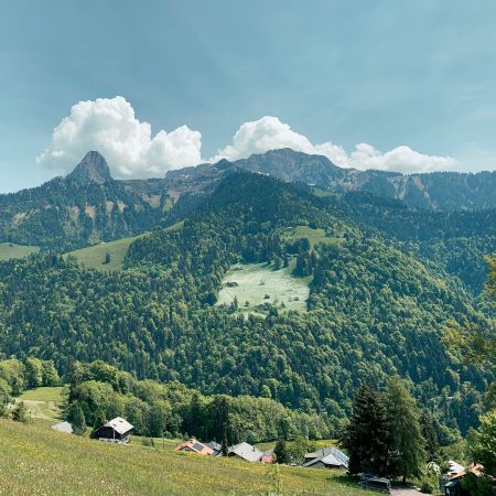 Au premier plan le village des Avants. Au second plan, la dent de Jaman. Sur le versant opposé au village, on voit une prairie blanche de narcisses