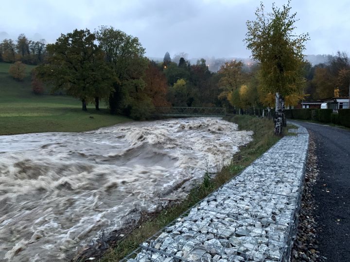 The Broye looks like a huge torrent. In some places, there are hollows between one and two meters. The water is brown and full of tree trunks and branches.