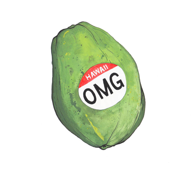 G.M.O. Foods and the Trust Issue by Celeste Byers
