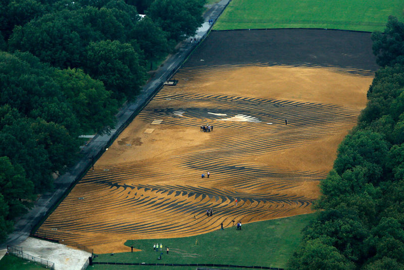 Out of Many, One by Jorge Rodriguez Gerada