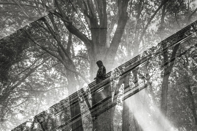 The Enormous Unseen by Michael O. Snyder