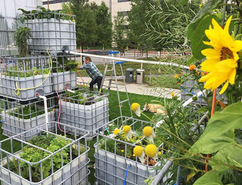 Arctic Food Forest, 2016 by Mary Mattingly