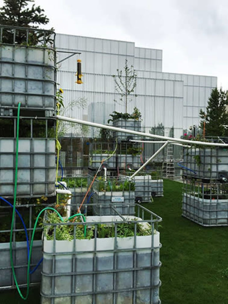 Arctic Food Forest, 2016 by Mary Mattingly