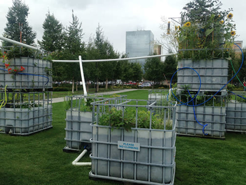 Arctic Food Forest, 2016 by Mary Mattingly