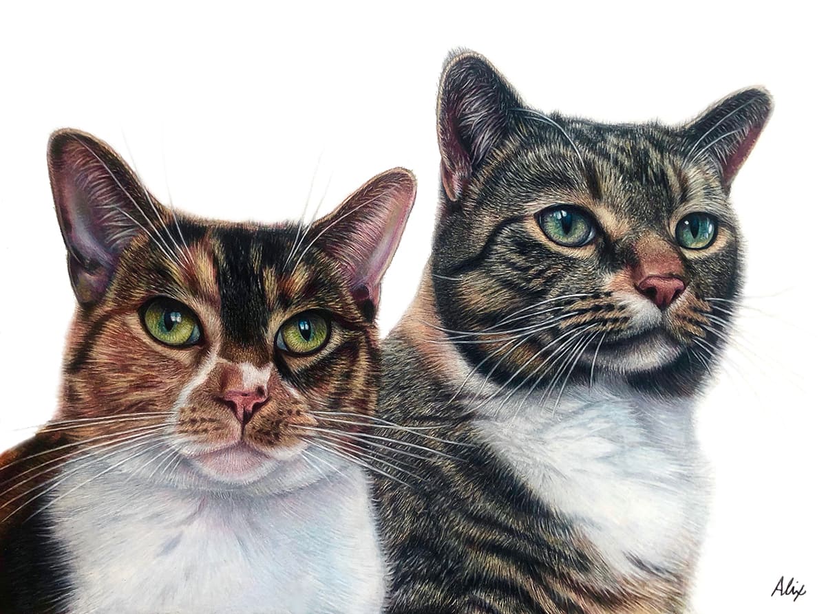 cats artwork: AlixFuerst LexiandLily fgmes0