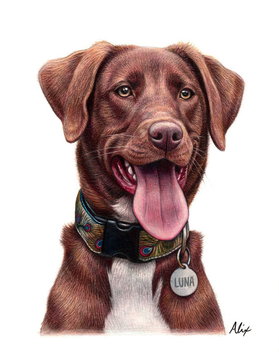 dogs artwork: Dog unfa9a