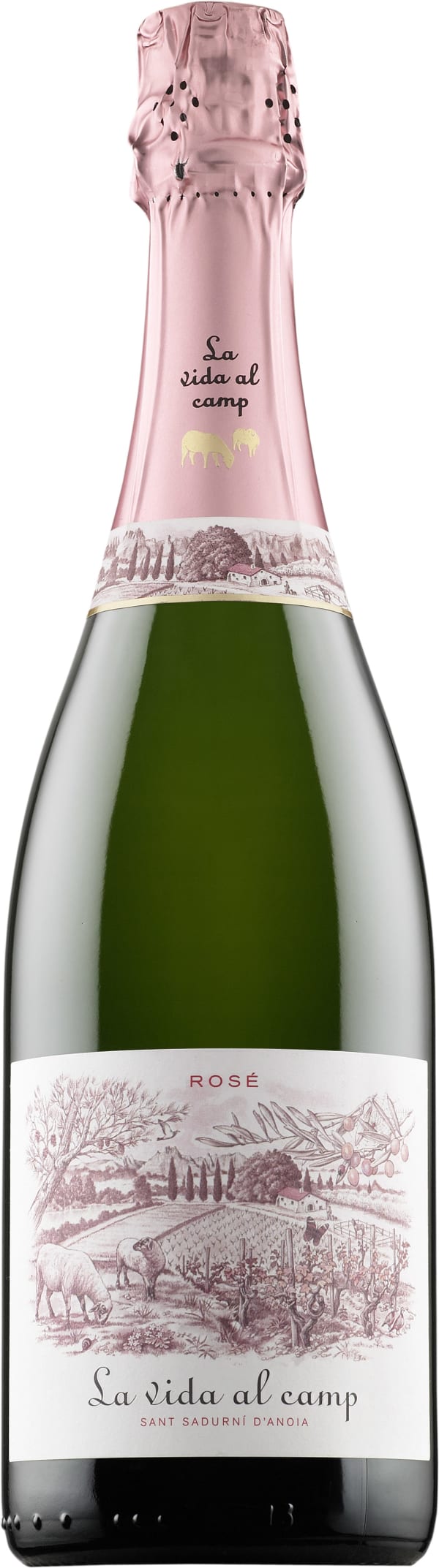 Httpswwwalkofituotteet911327alfred Gratien Champagne - 