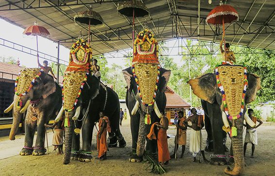 India - Kochi