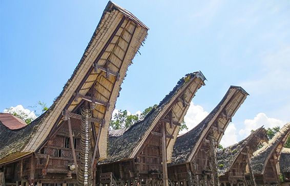 Tana Toraja