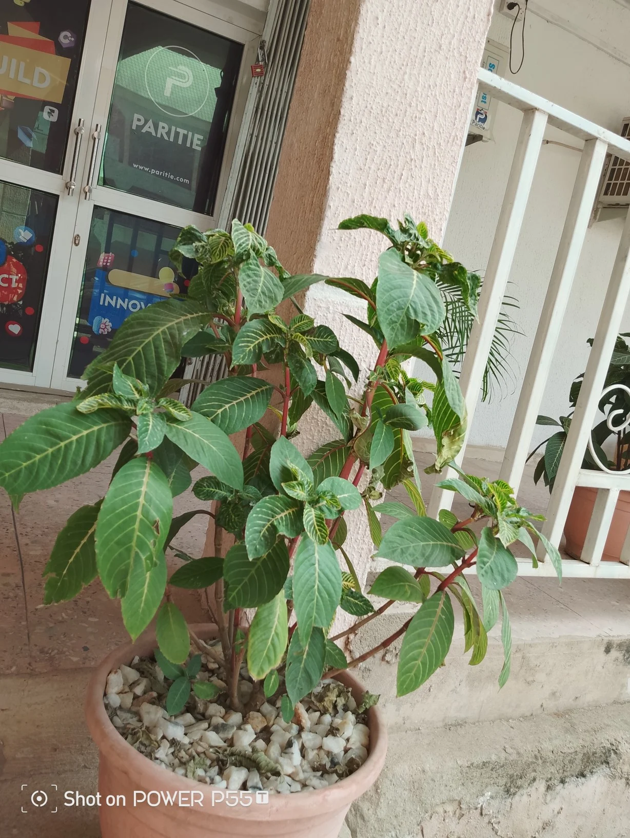 img20231220120819667