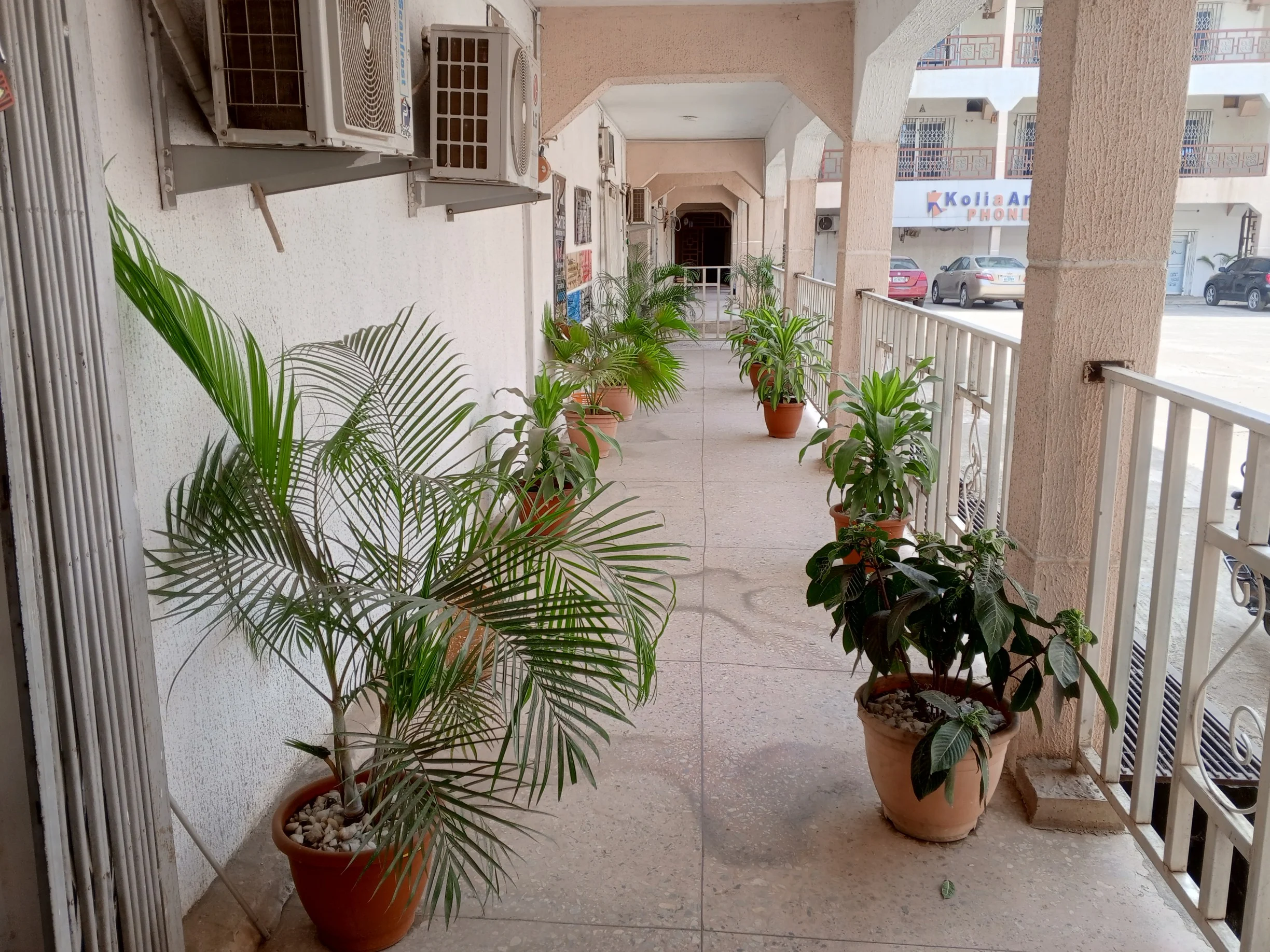 img20240118115613752