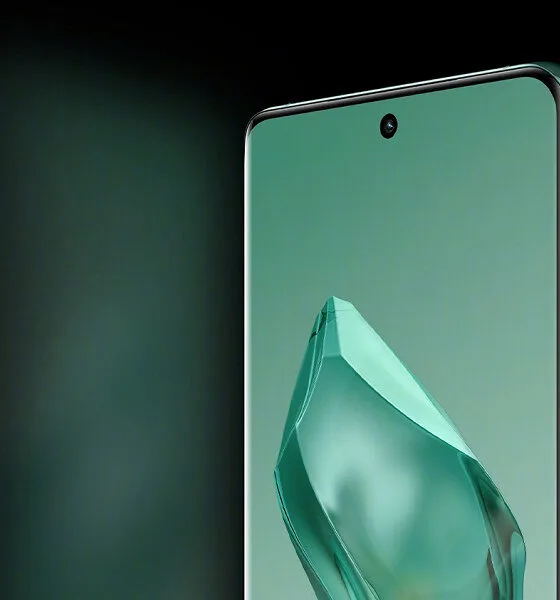 oneplus 12 display screen