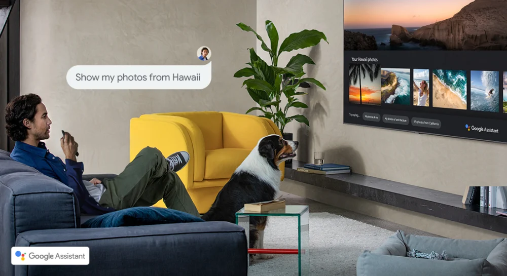 samsung command voice smart tv