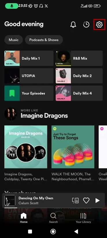spotify pie chart