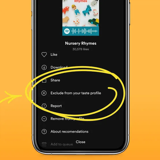 spotify pie1