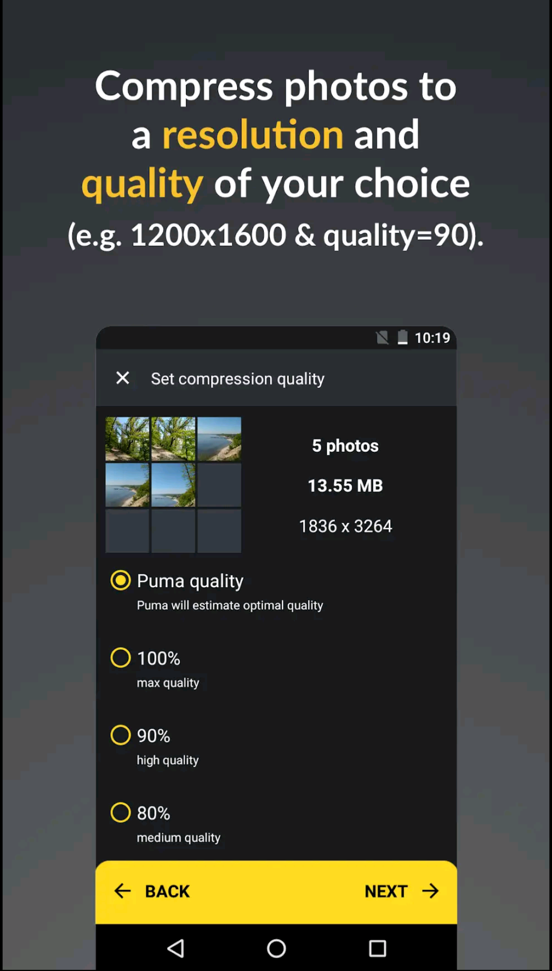 photo puma screenshot 3