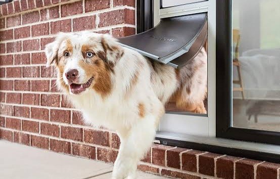 PET DOOR.